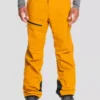 Quiksilver Forever Stretch Pants