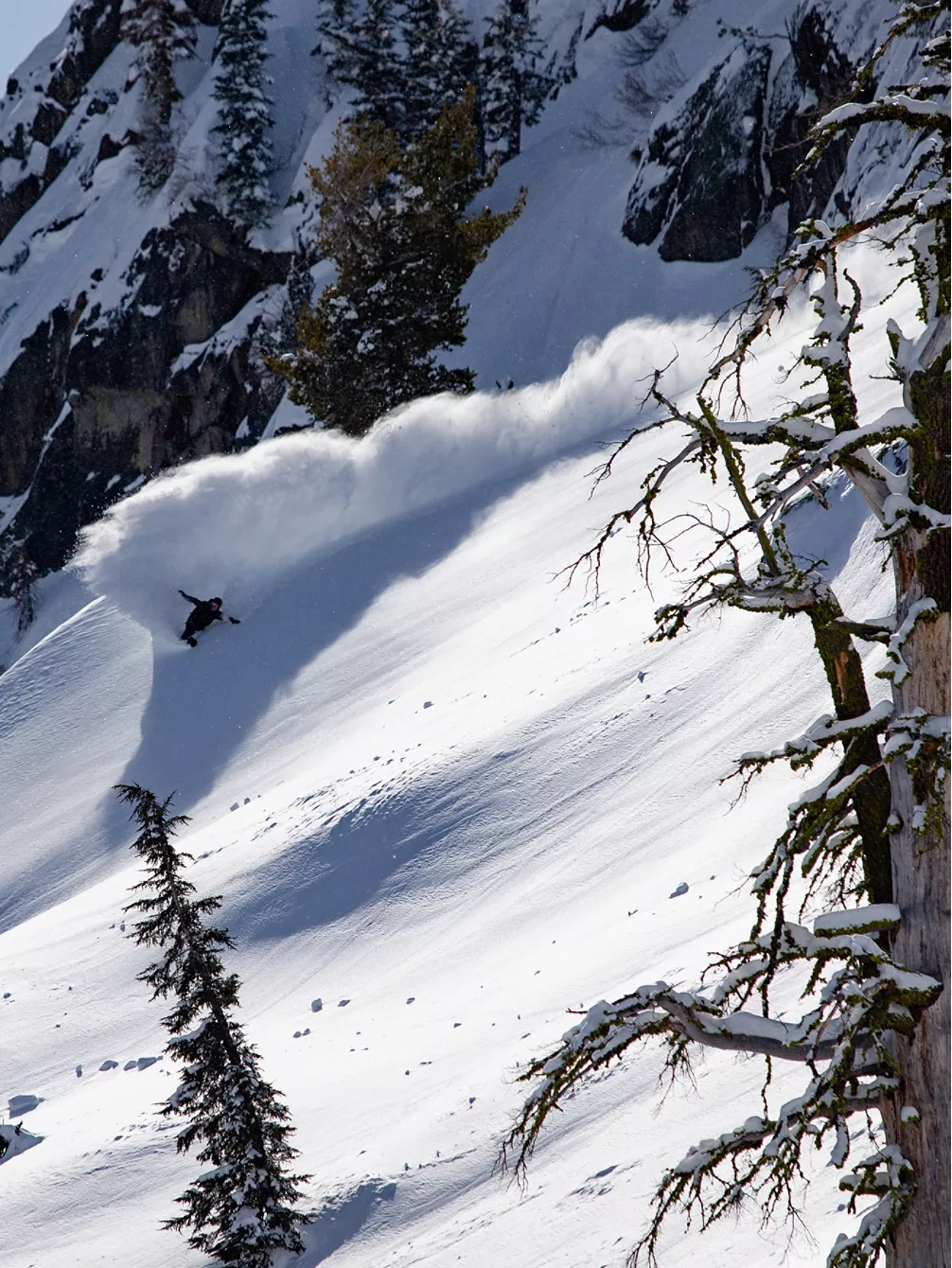 Jones Snowboards Solution 162W 2023 Splitboard – Bild 2