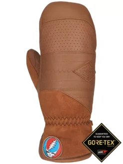 Dakine Team Baron Gore-Tex Fäustlinge